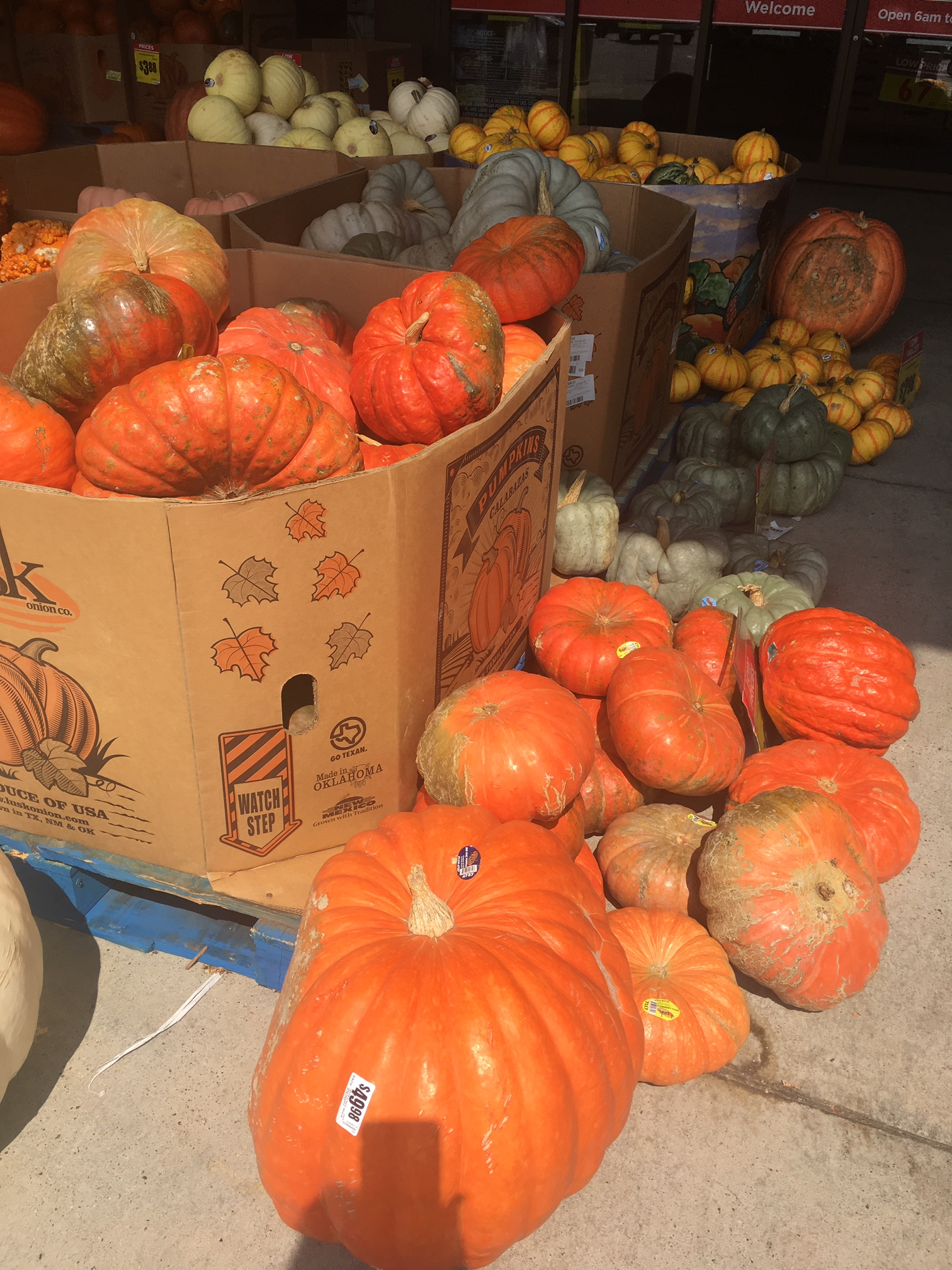 Just a few of the pumpkins at stores near us