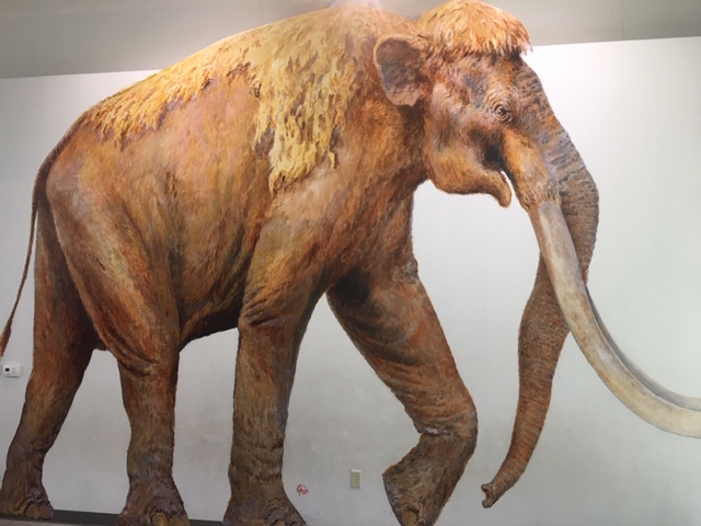 painting Columbian mammoth