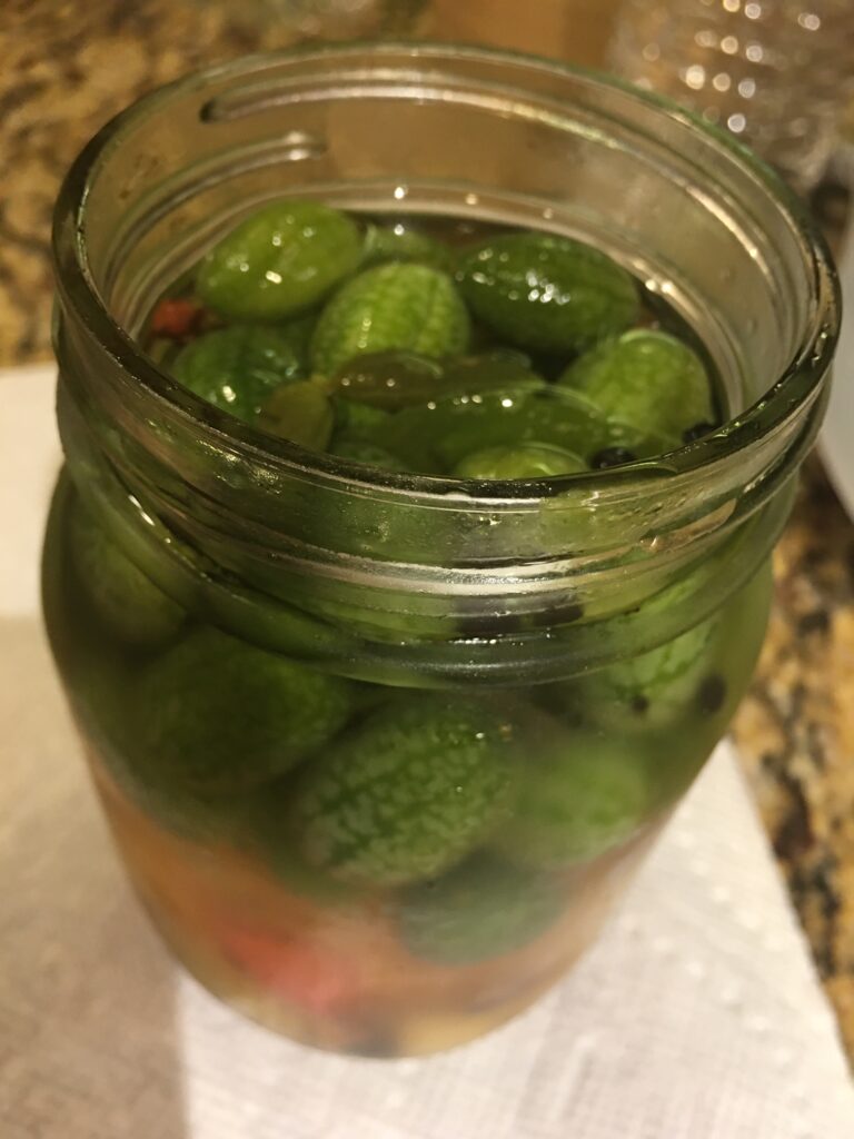pickled Mexican sour gherkins